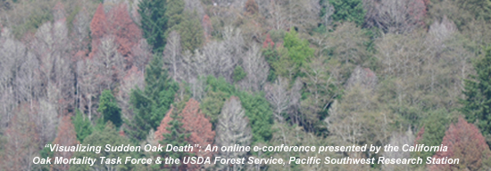 Marin County Survey Header Image