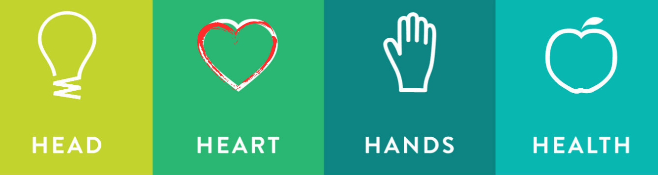  Survey Header Image